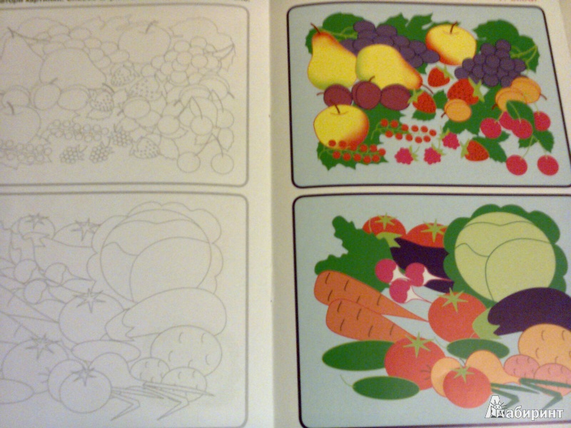 Иллюстрация 5 из 27 для Готовим руку к письму. Рисуем овощи и фрукты - О. Кучеренко | Лабиринт - книги. Источник: G
