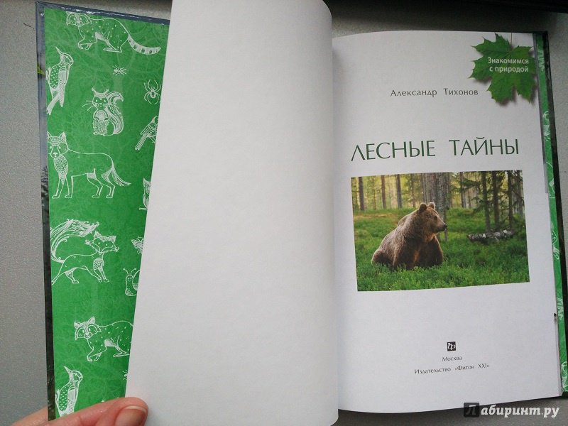 Иллюстрация 8 из 21 для Лесные тайны - Александр Тихонов | Лабиринт - книги. Источник: Melaschka