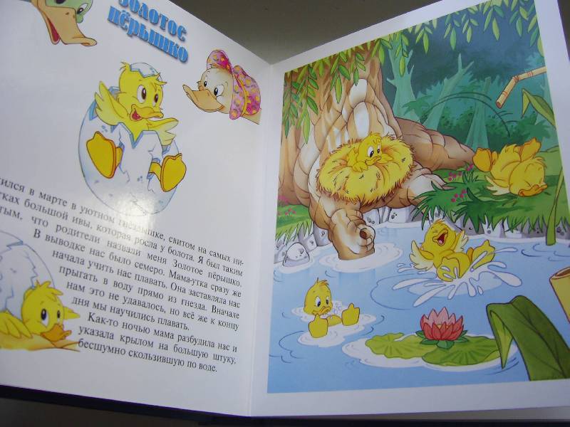 Иллюстрация 12 из 18 для Лесные сказки. Окошко в лес | Лабиринт - книги. Источник: Лилианна