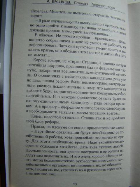 Иллюстрация 15 из 21 для Сталин. Ледяной трон - Александр Бушков | Лабиринт - книги. Источник: D.OLGA