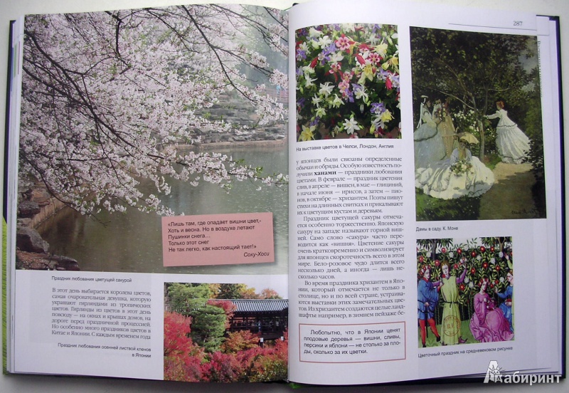 Иллюстрация 16 из 50 для В мире растений - Дикарева, Леонова | Лабиринт - книги. Источник: Allee