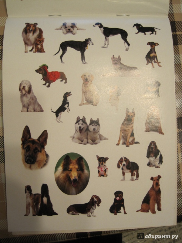 Иллюстрация 6 из 14 для 100 наклеек. Любимые собаки | Лабиринт - книги. Источник: Наталья