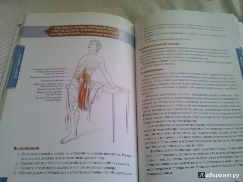 Иллюстрация 30 из 73 для Анатомия упражнений на растяжку - Нельсон, Кокконен | Лабиринт - книги. Источник: Анна