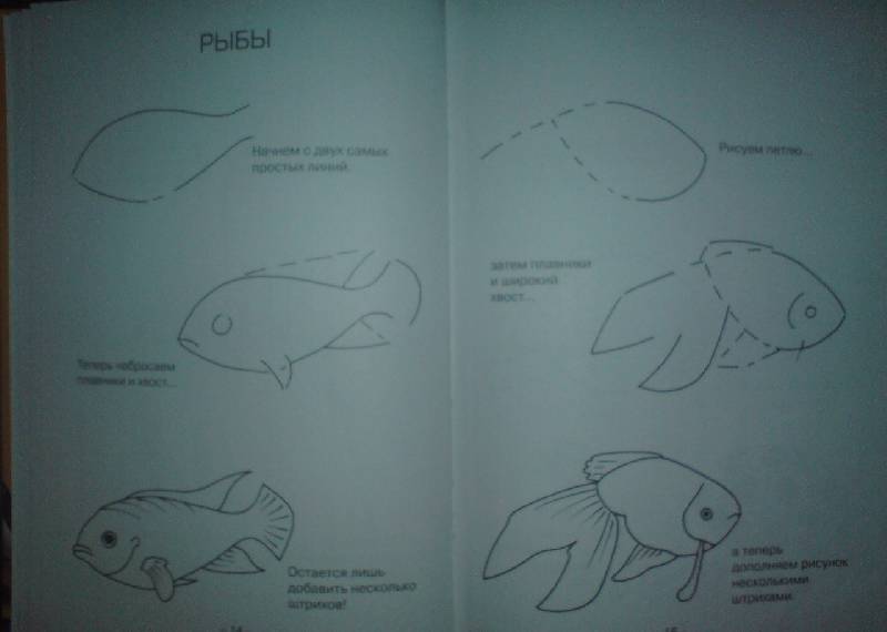 Иллюстрация 8 из 11 для Учимся рисовать зверей, рыб и птиц - Пьер Порте | Лабиринт - книги. Источник: Настёна
