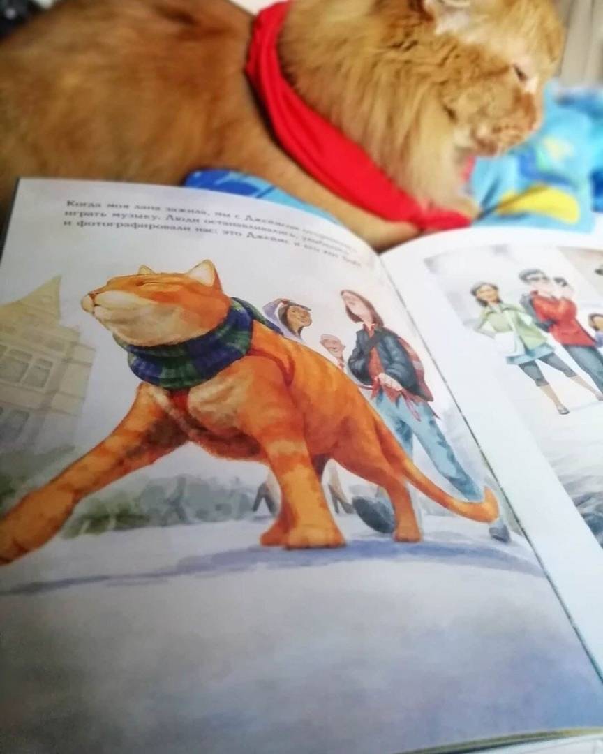 Иллюстрация 65 из 69 для Кот по имени Боб - Боуэн, Дженкинс | Лабиринт - книги. Источник: Отзывы читателей