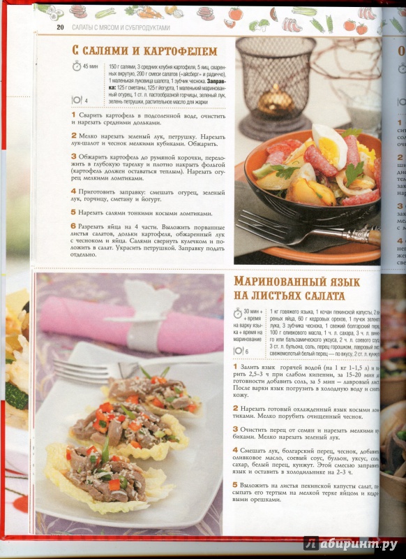 Иллюстрация 10 из 11 для 100 лучших рецептов праздничных салатов | Лабиринт - книги. Источник: boalinfo