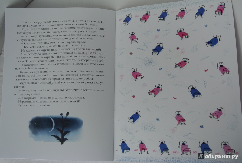 Иллюстрация 25 из 59 для Как муравьишка домой спешил - Виталий Бианки | Лабиринт - книги. Источник: adsveta
