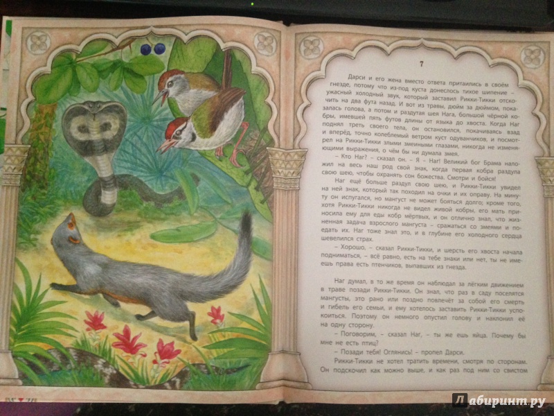 Иллюстрация 20 из 47 для Рикки-Тикки-Тави - Редьярд Киплинг | Лабиринт - книги. Источник: Dreamavera