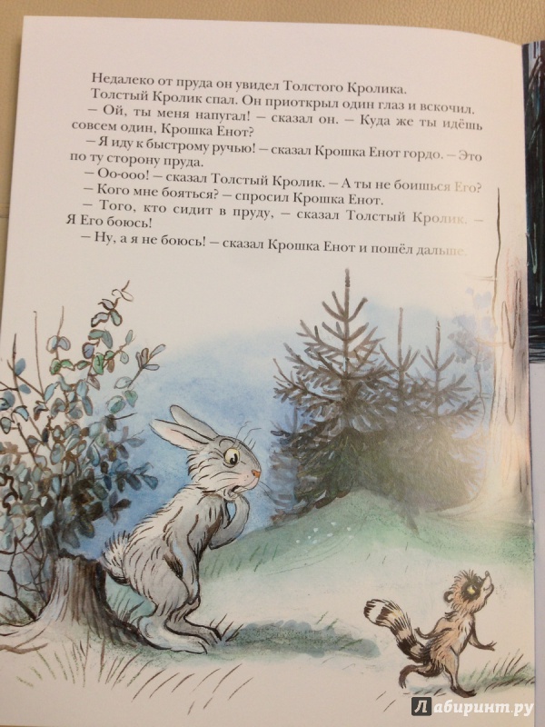 Иллюстрация 14 из 97 для Крошка Енот и тот, кто сидит в пруду - Лилиан Муур | Лабиринт - книги. Источник: antonnnn