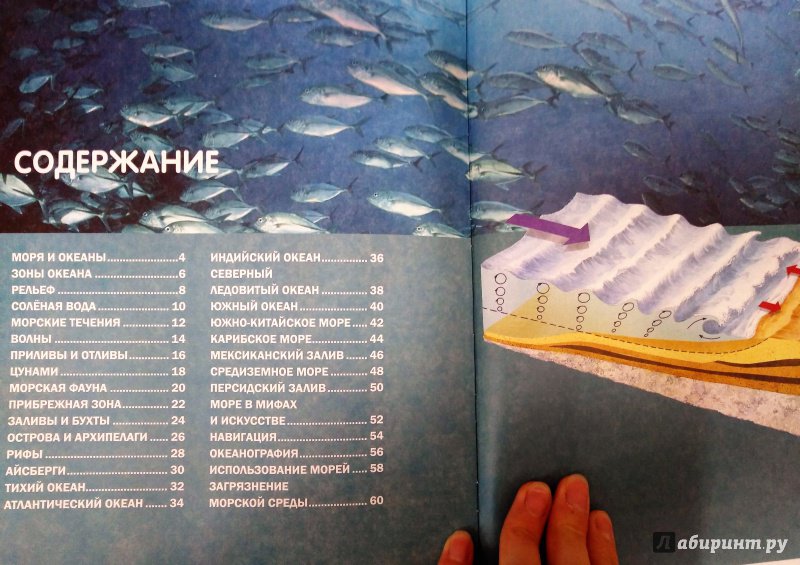 Иллюстрация 12 из 27 для Моря, океаны и подводный мир | Лабиринт - книги. Источник: Савчук Ирина