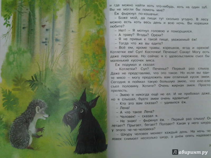 Иллюстрация 51 из 60 для Храбрый Тилли и другие истории - Ларри, Ольгин | Лабиринт - книги. Источник: Olga