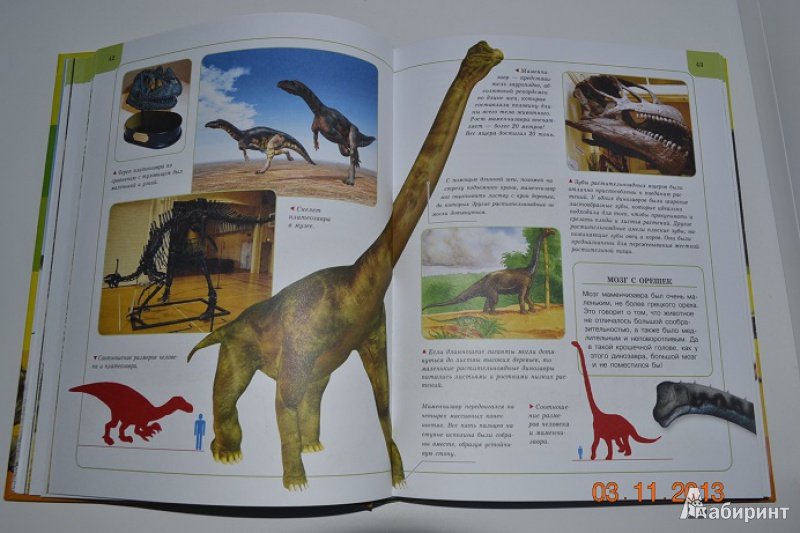 Иллюстрация 6 из 34 для Динозавры | Лабиринт - книги. Источник: Кочкина  Екатерина