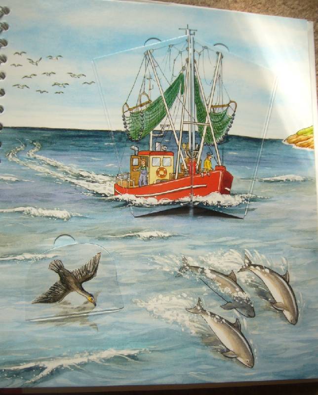Иллюстрация 53 из 58 для На море - Андреа Эрне | Лабиринт - книги. Источник: Gepardy