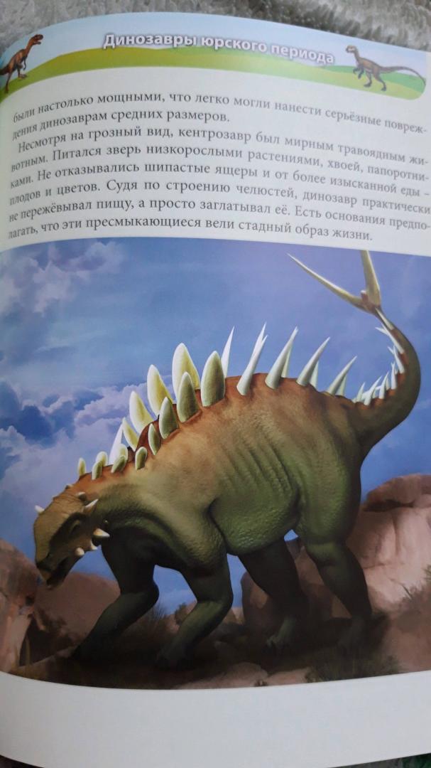 Иллюстрация 32 из 36 для Динозавры - Ирина Астапенко | Лабиринт - книги. Источник: Костюченко Лилия