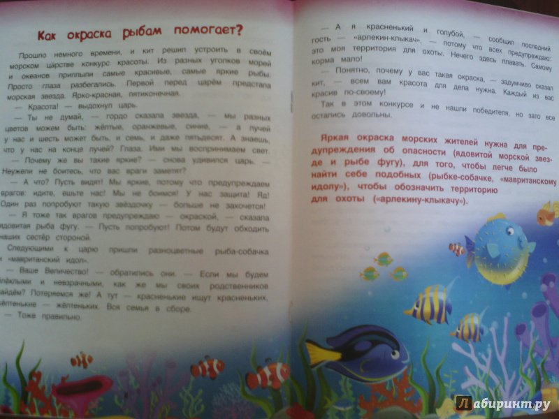 Иллюстрация 6 из 23 для Подводный мир - Елена Ульева | Лабиринт - книги. Источник: Качесова  Мария