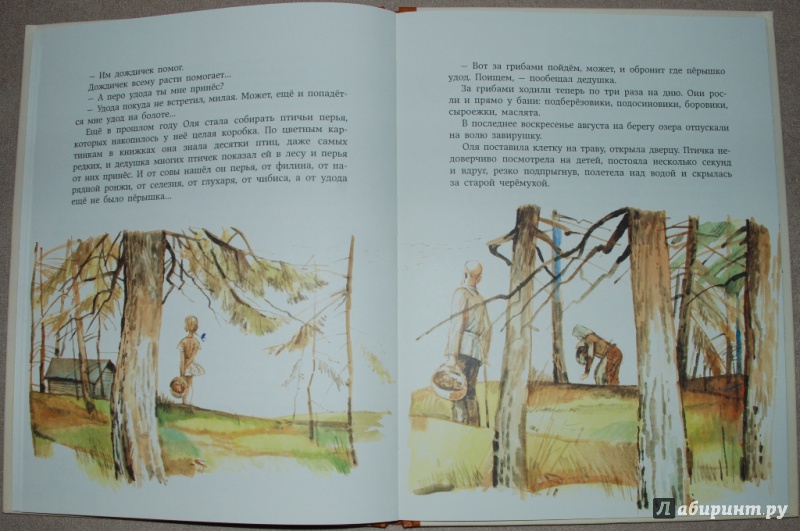 Иллюстрация 18 из 68 для Мой дедушка - егерь - Юрий Грибов | Лабиринт - книги. Источник: Книжный кот