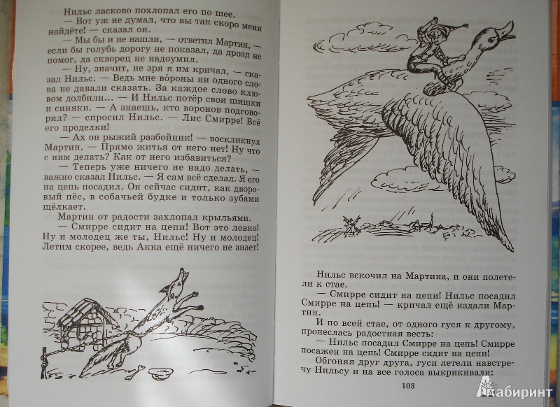 Иллюстрация 8 из 14 для Чудесное путешествие Нильса с дикими гусями - Сельма Лагерлеф | Лабиринт - книги. Источник: Чунга-чанга