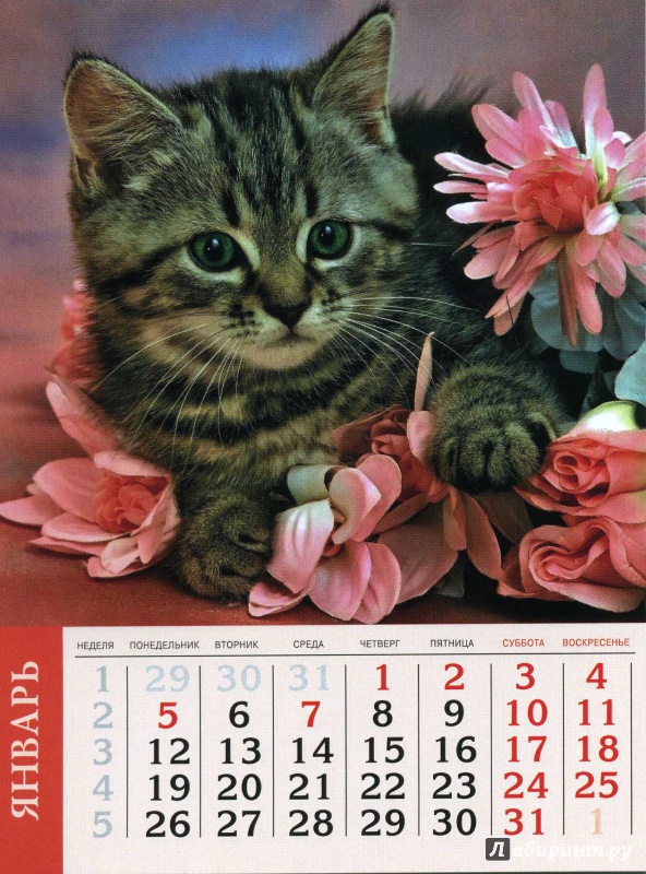 Иллюстрация 2 из 19 для Календарь на 2015 год "Кошки" (на магнитном креплении) (35772-36) | Лабиринт - сувениры. Источник: Кулагина  Марина Михайловна
