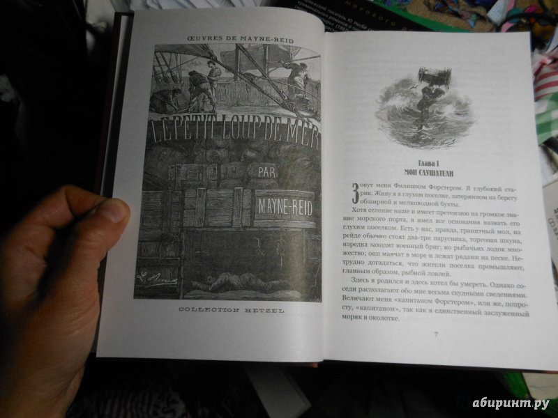 Иллюстрация 18 из 55 для Морской волчонок, или на дне трюма. Скитальцы Борнео, или Капитан Редвуд - Рид Майн | Лабиринт - книги. Источник: Савина  Евгения