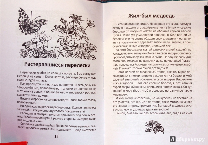 Иллюстрация 6 из 51 для Весенние радости - Николай Сладков | Лабиринт - книги. Источник: E.B.