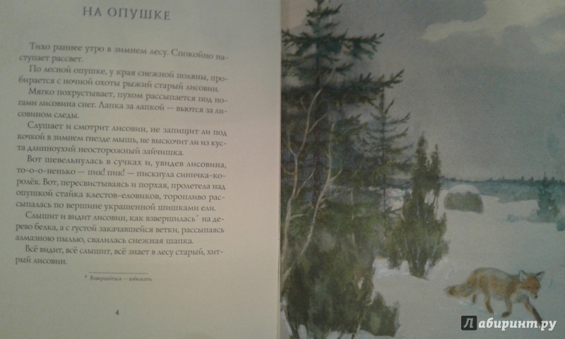 Иллюстрация 56 из 64 для Зима в лесу - Иван Соколов-Микитов | Лабиринт - книги. Источник: Александрова  Екатерина