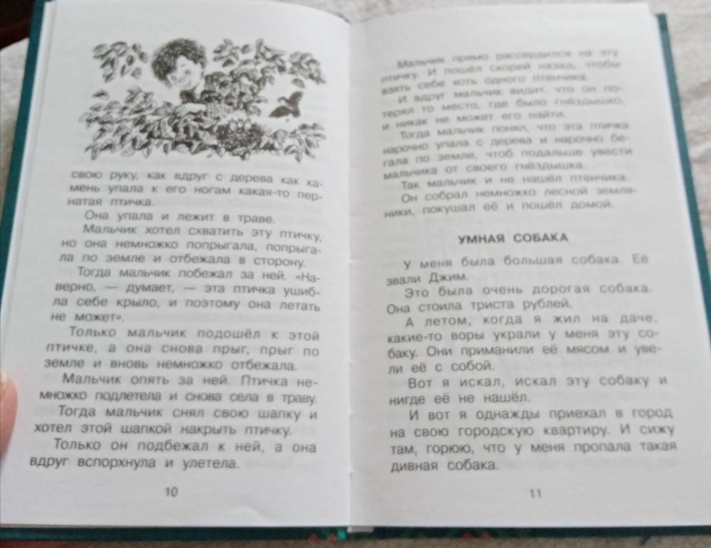 Иллюстрация 36 из 37 для Рассказы для детей - Михаил Зощенко | Лабиринт - книги. Источник: Лабиринт