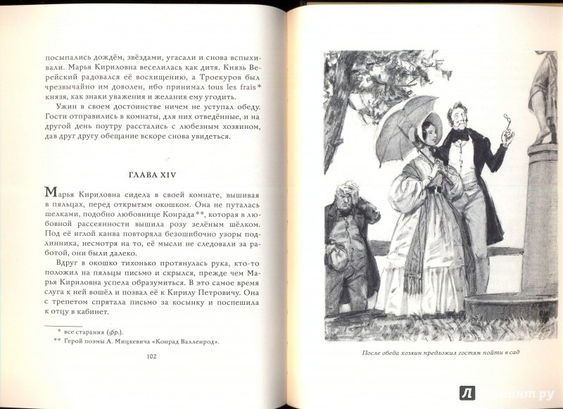 Иллюстрация 46 из 56 для Дубровский - Александр Пушкин | Лабиринт - книги. Источник: Эля