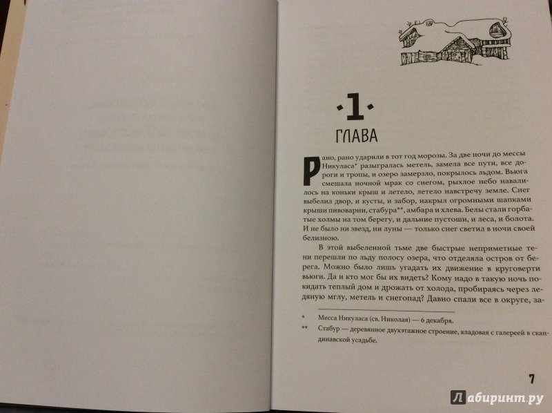 Иллюстрация 14 из 47 для Золото Хравна - Мария Пастернак | Лабиринт - книги. Источник: Hellen