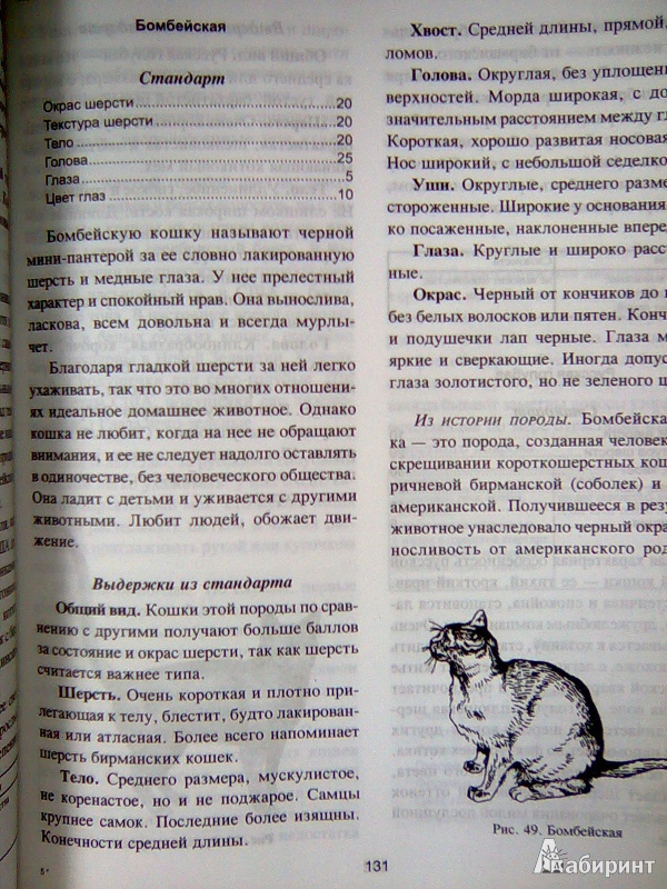 Иллюстрация 14 из 53 для Все о кошке. Породы, содержание, питание - Дарья Дазидова | Лабиринт - книги. Источник: Салус