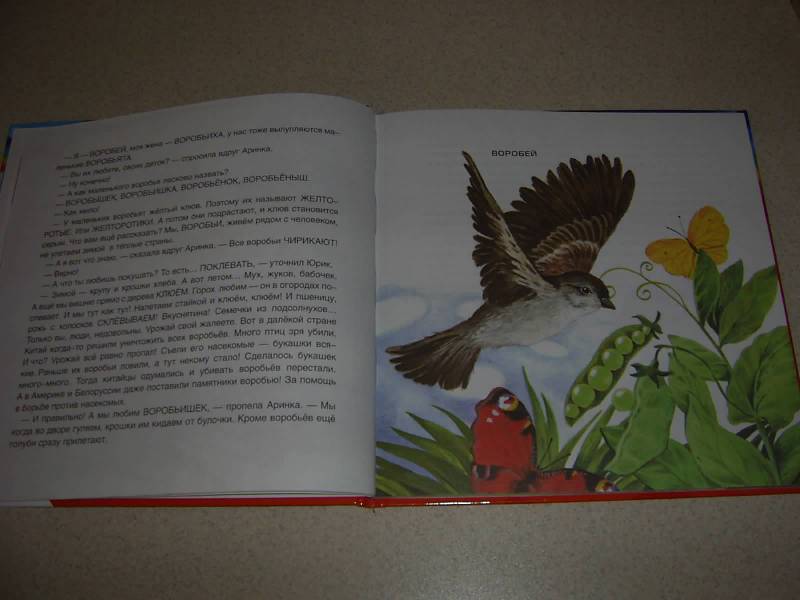 Иллюстрация 16 из 27 для Птицы и Андрей-воробей - Татьяна Рик | Лабиринт - книги. Источник: Лилианна