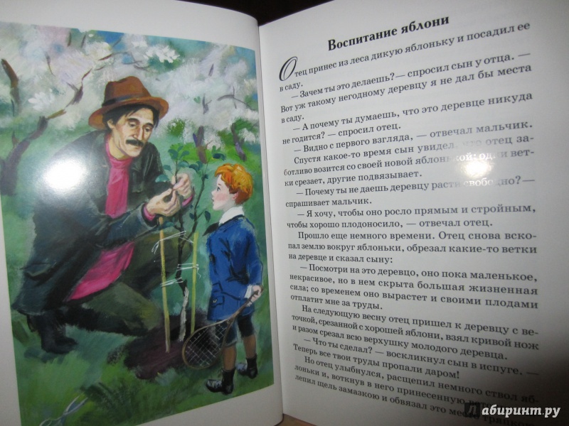 Иллюстрация 4 из 8 для Дедушкина смородина - Валерий Карачев | Лабиринт - книги. Источник: Марина Дубровская(Вишнякова)