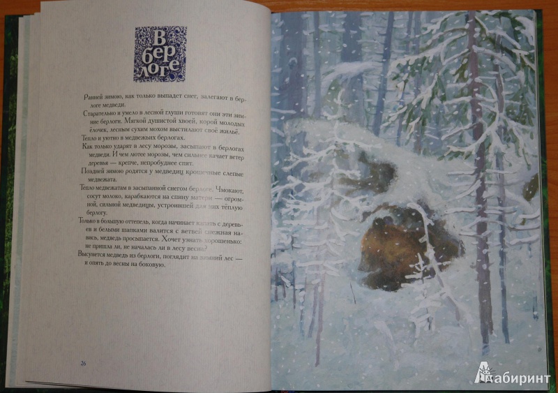 Иллюстрация 36 из 69 для Год в лесу - Иван Соколов-Микитов | Лабиринт - книги. Источник: pany_beata*