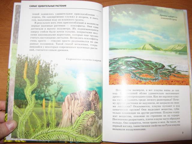 Иллюстрация 18 из 54 для Самые удивительные растения - Сергей Афонькин | Лабиринт - книги. Источник: varta
