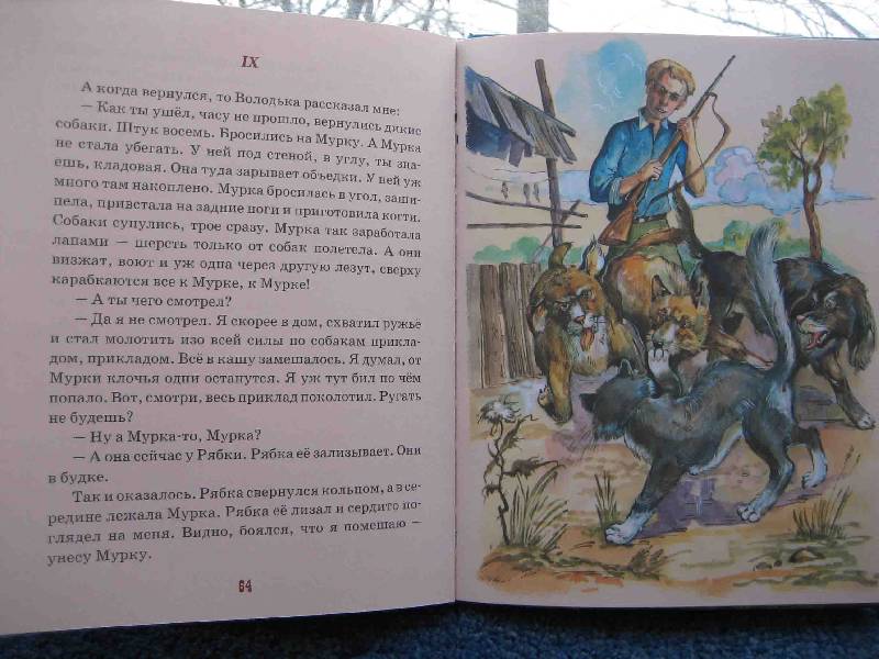 Иллюстрация 13 из 19 для Рассказы о животных - Борис Житков | Лабиринт - книги. Источник: Трухина Ирина