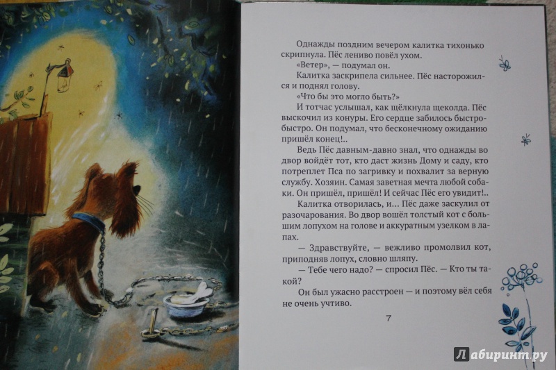 Иллюстрация 6 из 36 для Дождь - Людмила Дунаева | Лабиринт - книги. Источник: Плакхина Евгения