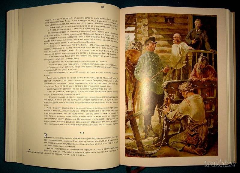 Иллюстрация 59 из 65 для Анна Каренина - Лев Толстой | Лабиринт - книги. Источник: Трухина Ирина