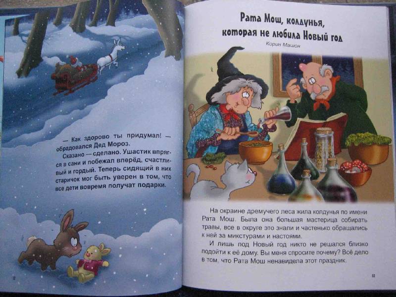 Иллюстрация 13 из 40 для По следам Деда Мороза | Лабиринт - книги. Источник: Трухина Ирина