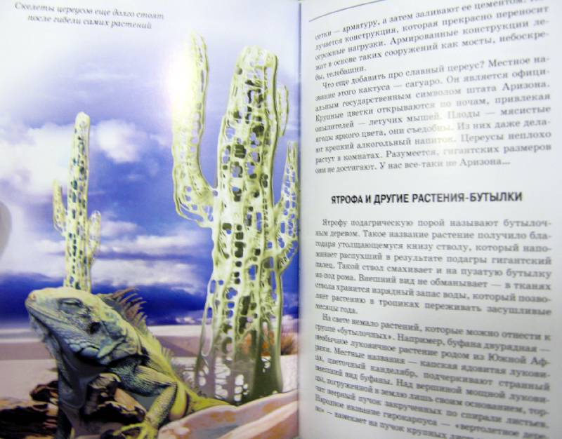 Иллюстрация 52 из 54 для Самые удивительные растения - Сергей Афонькин | Лабиринт - книги. Источник: Спанч Боб