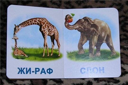 Иллюстрация 1 из 2 для Дикие животные. Мои первые книги (картонка) | Лабиринт - книги. Источник: nadin_tyum