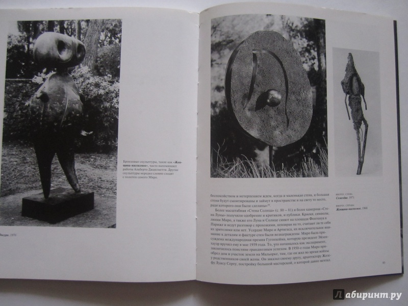 Иллюстрация 10 из 22 для Миро (1893-1983) - Янис Минк | Лабиринт - книги. Источник: Александрова  Анна Леонидовна