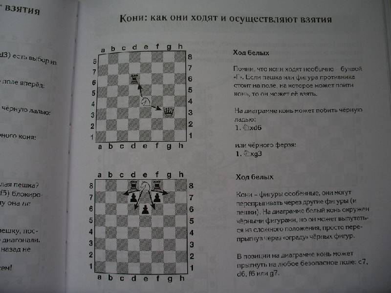 Иллюстрация 9 из 16 для Шахматы для детей. Подарочное издание - Чандлер, Миллиган | Лабиринт - книги. Источник: Tiger.