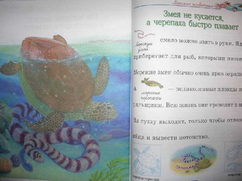 Иллюстрация 11 из 13 для Мир животных - Александрова, Дроздова | Лабиринт - книги. Источник: Tiger.