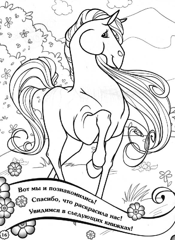 Иллюстрация 12 из 15 для Раскраска. Лошадки. Знакомство с лошадками. Выпуск 1 | Лабиринт - книги. Источник: OOlga