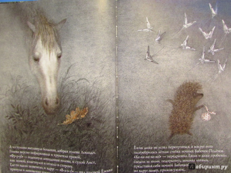 Иллюстрация 40 из 83 для Ежик в тумане - Козлов, Норштейн | Лабиринт - книги. Источник: Я_я
