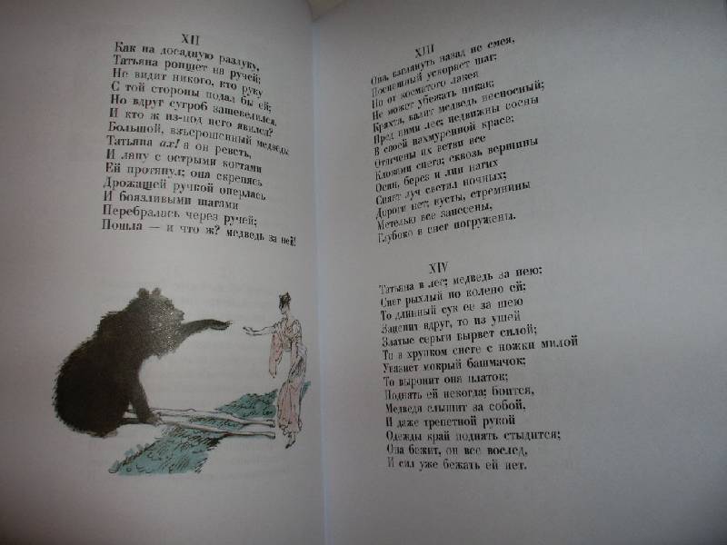 Иллюстрация 86 из 87 для Евгений Онегин - Александр Пушкин | Лабиринт - книги. Источник: Tiger.