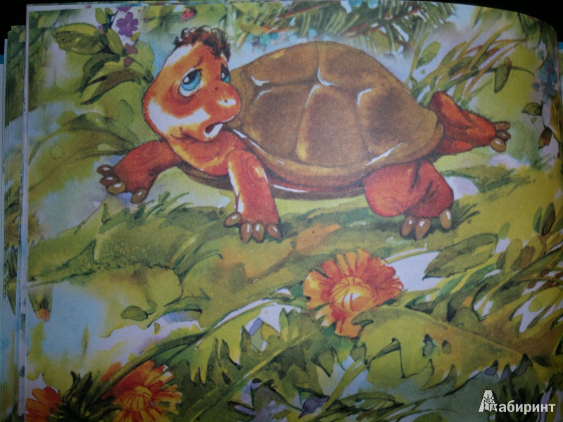 Иллюстрация 5 из 11 для Сказки старой черепахи - Валерий Кастрючин | Лабиринт - книги. Источник: Книголюбительница