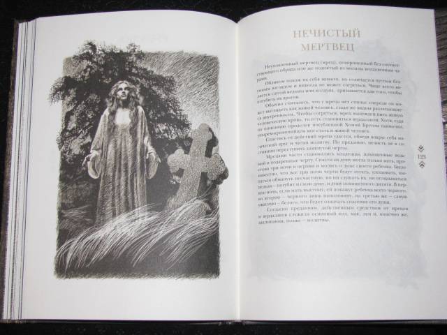 Иллюстрация 57 из 67 для Вий - Николай Гоголь | Лабиринт - книги. Источник: Nemertona