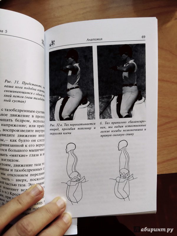 Иллюстрация 16 из 19 для Как достичь совершенства в верховой езде. Навыки центрированной верховой езды - Салли Свифт | Лабиринт - книги. Источник: Valery