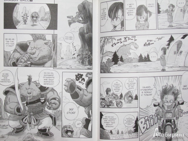 Иллюстрация 15 из 20 для Жемчуг дракона. Книга 1: Сон Гоку и компания - Акира Торияма | Лабиринт - книги. Источник: Nemertona