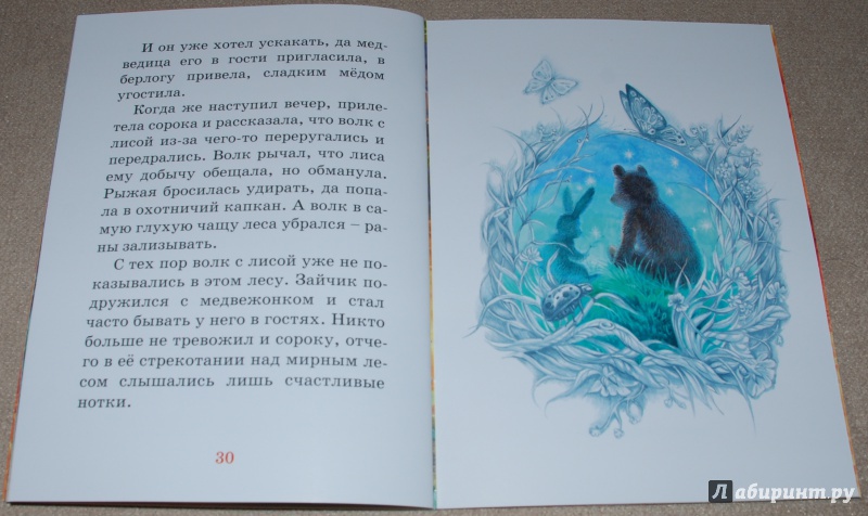 Иллюстрация 13 из 20 для Как медвежонок от мамы убежал - Марина Гончаренко | Лабиринт - книги. Источник: Книжный кот